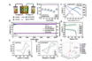 6,000-cycle all-iron flow battery