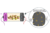 building batteries with pistachio