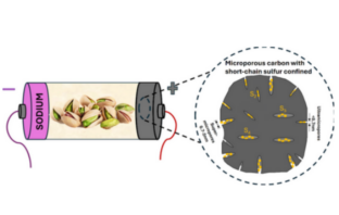 building batteries with pistachio