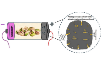 building batteries with pistachio