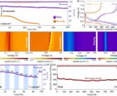 Lithium-Sodium Half Cell Battery