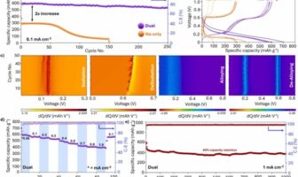 lithium-sodium half cell battery