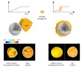 Baking Perfect Lithium-Ion Cathodes