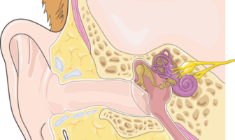types of hearing aid batteries